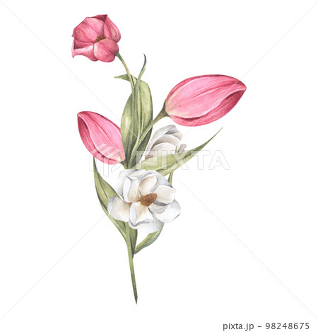 Bouquet of tulips and magnolia. Floral composition. Watercolor illustration. 98248675
