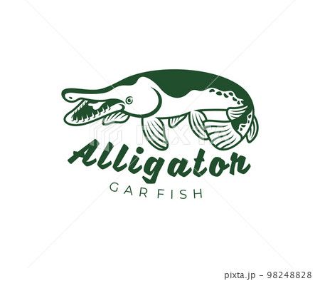 Alligator gar fish (atractosteus spatula), fishing, logo design. Animal, underwater life, wildlife, vector design and illustration Alligator gar fish (atractosteus spatula), fishing, logo design. Animal, underwater life, wildlife, vector design and illustration 98248828