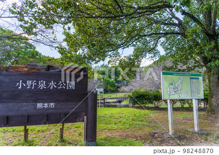 小野泉水公園 (公園内風景)「平安時代の絶世の美女“小野小町”ゆかりの公園」観光名所 小野泉水公園 (公園内風景)「平安時代の絶世の美女“小野小町”ゆかりの公園」観光名所 98248870