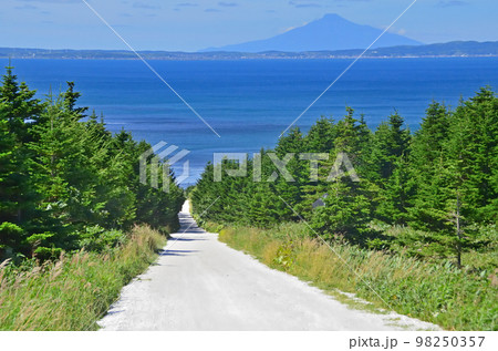 白い道 白い道 98250357