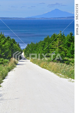 白い道 白い道 98250358