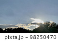 夕日と木々 98250470