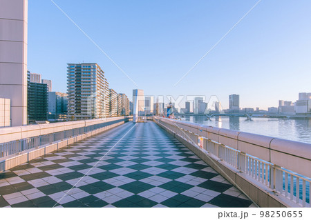 朝の晴海ふ頭と遠くに見えるビル 98250655