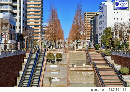 浜松市　冬のアクト通りのメタセコイア並木 98251111