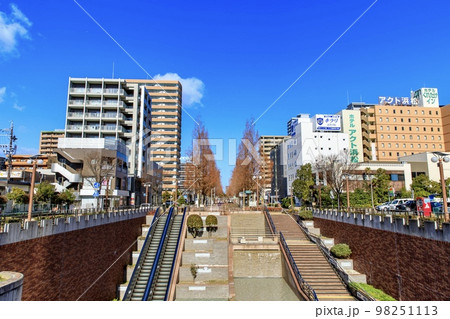 浜松市　冬のアクト通りのメタセコイア並木 98251113
