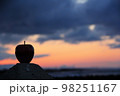 りんごシルエット 98251167