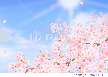 美しく華やかな桜の花と花びら舞い散る春の爽やか青空に光差し込む雲のフレーム背景 素材イラスト 美しく華やかな桜の花と花びら舞い散る春の爽やか青空に光差し込む雲のフレーム背景 素材イラスト 98251512