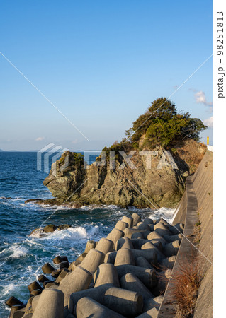 ライオン岩 98251813