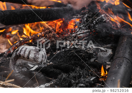 ダルマ　どんど焼き 98252016