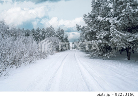 Tire tracks from a car that ran in the snow Tire tracks from a car that ran in the snow 98253166