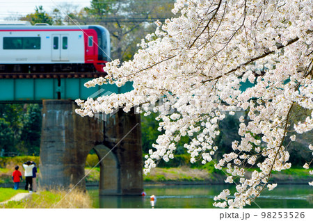 岡崎公園 桜 電車 岡崎公園 桜 電車 98253526