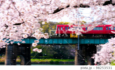 岡崎公園　桜　電車    98253531