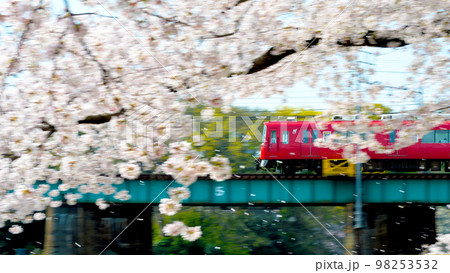 岡崎公園　桜　電車    98253532