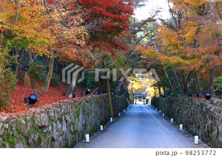 秋の興聖寺 琴坂と紅葉風景 秋の興聖寺 琴坂と紅葉風景 98253772