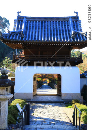 秋の興聖寺　龍宮門 98253860