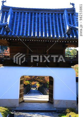 秋の興聖寺　龍宮門 98253861