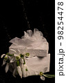 Snowdrop Decorated in a gift box. 98254478