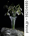 Snowdrops decorated in a glass vase. 98254480