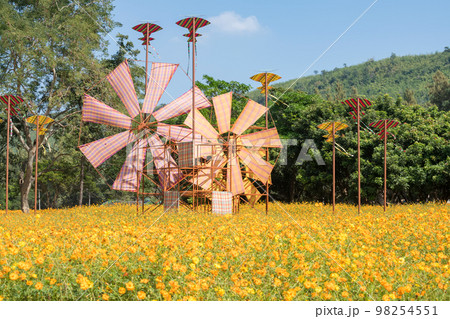 Thai fabric windmill and kite on yellow Kibana Cosmos garden Thai fabric windmill and kite on yellow Kibana Cosmos garden 98254551