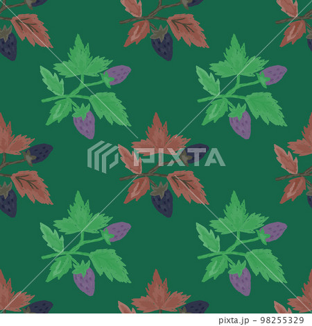 Freehand wild strawberry branch seamless pattern. Hand drawn wild berries floral wallpaper. Strawberry plant endless backdrop. 98255329
