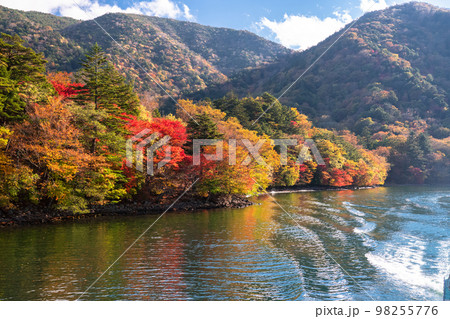 《栃木県》秋の奥日光中禅寺湖・紅葉の八丁出島《中禅寺湖遊覧船より》 98255776