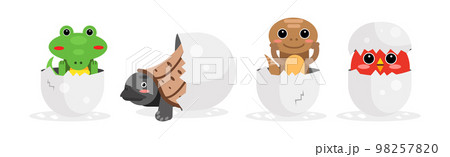 Chick and Reptile Hatching from Cracked Egg Shell Vector Set Chick and Reptile Hatching from Cracked Egg Shell Vector Set 98257820