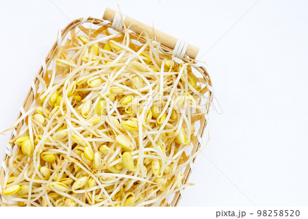 Fresh soybean sprouts for cooking. 98258520