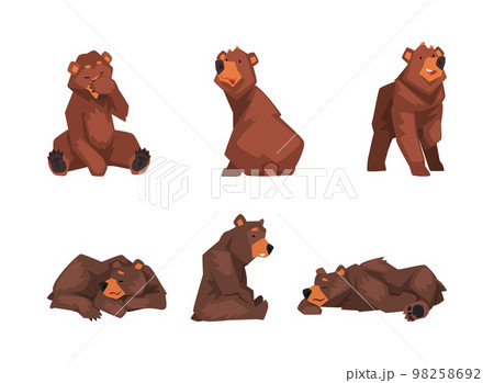 Set of brown bear in different poses. Wild forest sitting, standing and sleeping mammal animal cartoon vector illustration 98258692