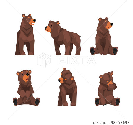 Set of cute brown bear in different poses. Wild forest sitting and standing mammal animal cartoon vector illustration Set of cute brown bear in different poses. Wild forest sitting and standing mammal animal cartoon vector illustration 98258693