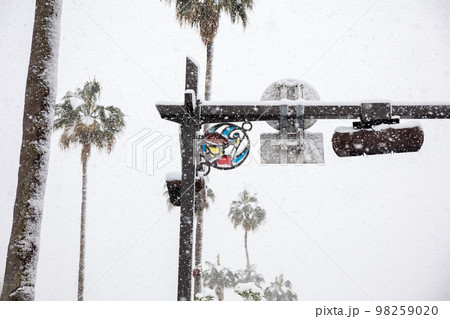 【徳島市内】大雪になった徳島駅前 98259020