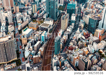 Aerial view of Minato, Tokyo, Japan 98259536
