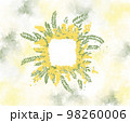 Mimosa flowers on mother's day on March 8 in Italy. Postcard with mimosa watercolors. Symbol of 98260006