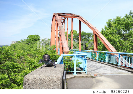 ガラッパ公園の橋と晴れの空 ガラッパ公園の橋と晴れの空 98260223