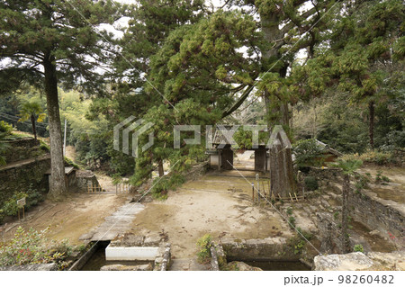 天恩寺 (岡崎市)　総門 98260482