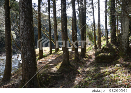 とどろ渓谷 98260545