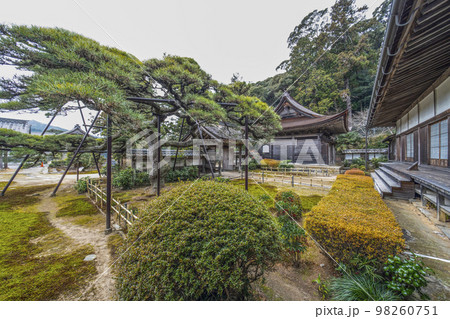 天恩寺 (岡崎市) 「天恩寺の松」 天恩寺 (岡崎市) 「天恩寺の松」 98260751