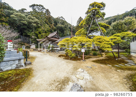 天恩寺 (岡崎市)　「天恩寺の松」と仏殿 98260755
