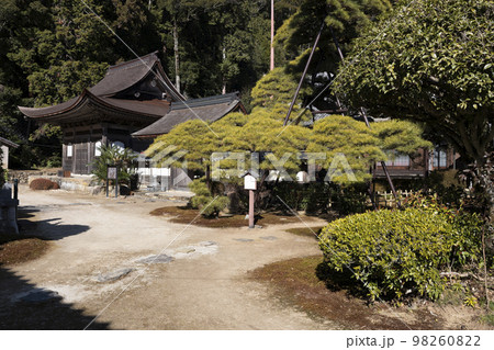 天恩寺 (岡崎市)「天恩寺の松」と仏殿 天恩寺 (岡崎市)「天恩寺の松」と仏殿 98260822