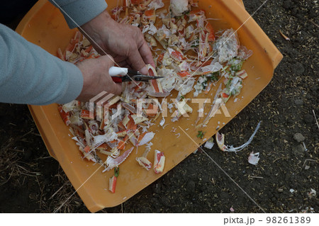 冬の間の土つくり、カニガラ 98261389
