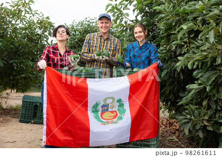 Excited glad young farmers holding flag of Peru in front of boxes full of avocados in orchard 98261611