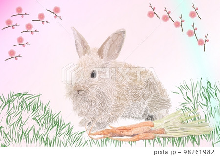 ウサギ 謹賀新年 ウサギ 謹賀新年 98261982
