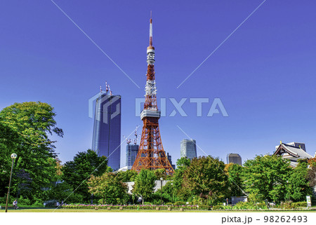 東京タワー　港区立芝公園からの風景 98262493
