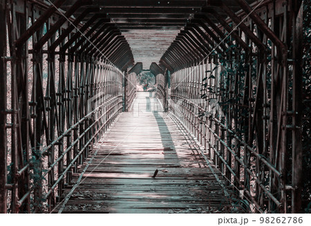 Bridge in jungle 98262786