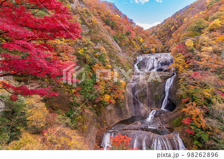 （茨城県）袋田の滝　紅葉 98262896