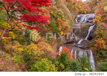 （茨城県）袋田の滝　紅葉 98262897
