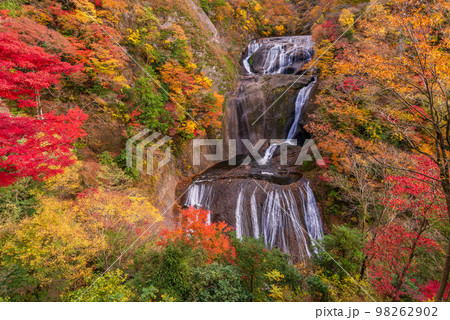 （茨城県）袋田の滝　紅葉 98262902
