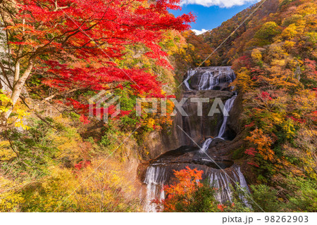 (茨城県)袋田の滝 紅葉 (茨城県)袋田の滝 紅葉 98262903
