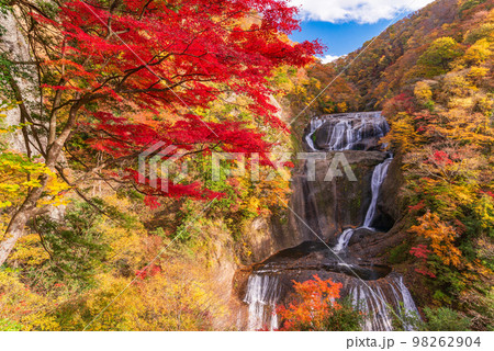 （茨城県）袋田の滝　紅葉 98262904
