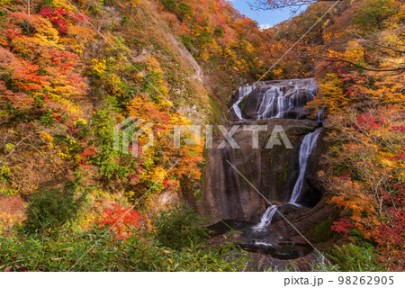 （茨城県）袋田の滝　紅葉 98262905