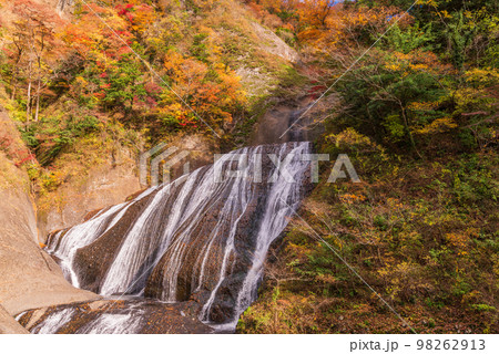 （茨城県）袋田の滝　紅葉 98262913